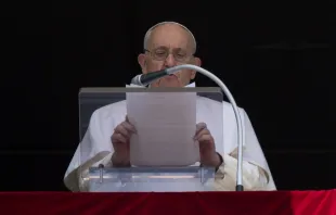 البابا فرنسيس يتلو صلاة التبشير الملائكي يوم الأحد 16 يوليو/تمّوز 2023 Provided by: Vatican Media