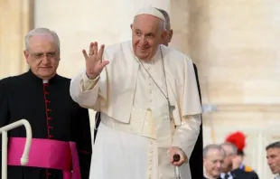 البابا فرنسيس في المقابلة العامة يوم الأربعاء 9 نوفمبر/تشرين الثاني 2022 Provided by: Vatican Media