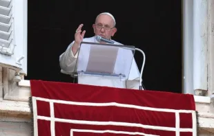 البابا فرنسيس يتلو صلاة التبشير الملائكي يوم الأحد 11 سبتمبر/أيلول 2022 Provided by: Vatican Media