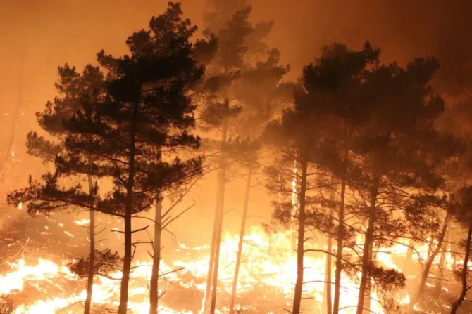 من حرائق ريف اللاذقية-سوريا