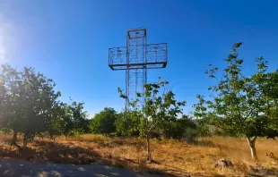 «صليب كلّ الشعوب» في قناة باكيش بقرية بسكنتا اللبنانيّة مصدر الصورة: المحامي ميشال حريقة