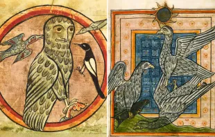 ارتبطت الطيور في النصوص المقدّسة والفنون الدينيّة بدلالات روحيّة ولاهوتيّة مصدر الصورة: ويكيميديا كومونز - SARA/Pinterest