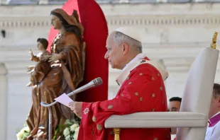 البابا لاوون الرابع عشر يترأّس قدّاسًا بمناسبة عيد العنصرة ويوبيل الحركات والجمعيّات والجماعات الكنسيّة الجديدة في شهر يونيو/حزيران الماضي مصدر الصورة: فاتيكان ميديا