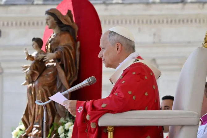 البابا لاوون الرابع عشر يترأّس قدّاسًا بمناسبة عيد العنصرة ويوبيل الحركات والجمعيّات والجماعات الكنسيّة الجديدة في شهر يونيو/حزيران الماضي