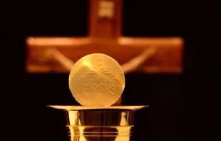 مغامرة الارتقاء الروحيّ حافلة بالمعنى والمجد مصدر الصورة: صفحة عبادة القربان الأقدس في فيسبوك