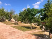 جانب من حديقة البطاركة في الديمان، لبنان