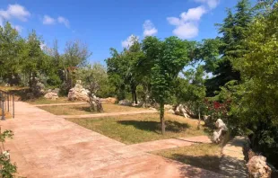 جانب من حديقة البطاركة في الديمان، لبنان مصدر الصورة: صفحة وادي قنّوبين