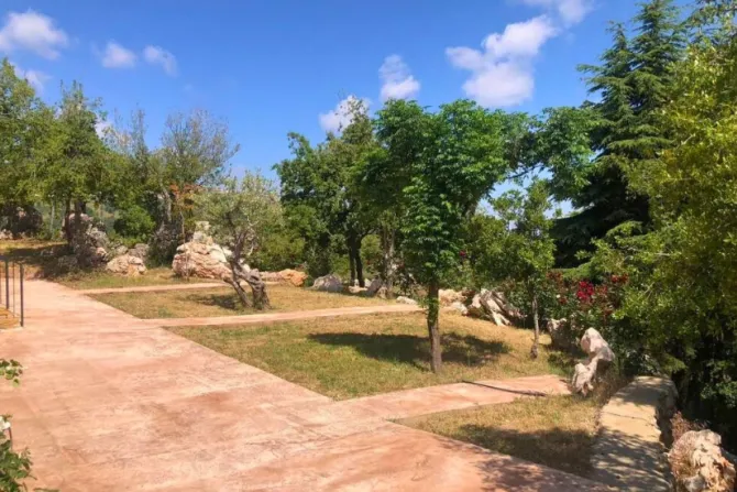 جانب من حديقة البطاركة في الديمان، لبنان