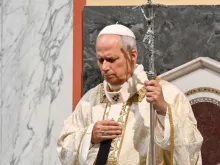 البابا لاوون الرابع عشر