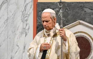 البابا لاوون الرابع عشر مصدر الصورة: فاتيكان ميديا