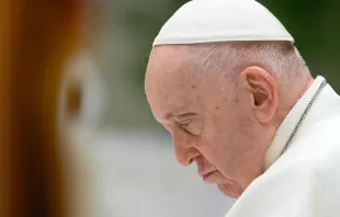 البابا فرنسيس يلغي لقاءاته الخاصّة صباح اليوم قبل أيّام من رحلته الرسوليّة إلى لوكسمبورغ وبلجيكا مصدر الصورة: فاتيكان ميديا