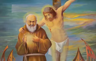 القدّيس بادري بيو مصدر الصورة: Renata Sedmakova/Shutterstock