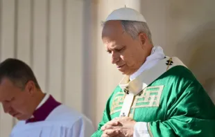 البابا لاوون الرابع عشر يترأّس قدّاس يوبيل أساتذة التعليم المسيحيّ ويتلو صلاة التبشير الملائكيّ في ساحة القدّيس بطرس الفاتيكانيّة مصدر الصورة: فاتيكان ميديا