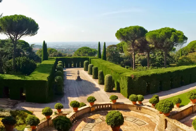 خريطة طريق لتجسيد مسار التحوّل البيئيّ في ضوء تعليم الكنيسة