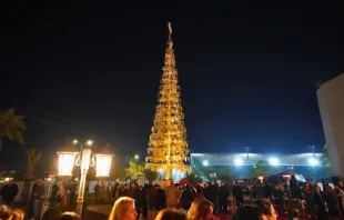 شجرة الميلاد في محافظة نينوى العراقيّة مصدر الصورة: عبد القادر الدخيل في فيسبوك