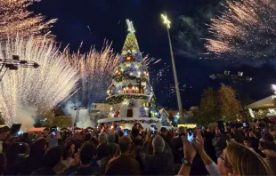 أعادت زيارة البابا الفرح إلى قلوب اللبنانيّين وفتحت بابًا واسعًا لتأمّل معنى العيد مصدر الصورة: Min Albe la Albak