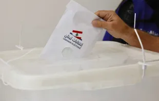 حقّ اقتراع المغتربين اللبنانيّين في مهبّ محاولات تقييد واضحة مصدر الصورة: الوكالة الوطنيّة للإعلام