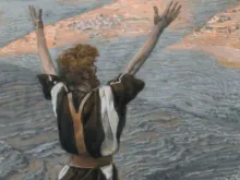 يوحنّا المعمدان الصارخ في البرّيّة