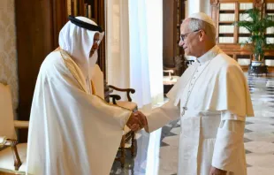 البابا لاوون الرابع عشر يلتقي وليّ عهد البحرين رئيس مجلس الوزراء الأمير سلمان بن حمد آل خليفة في الفاتيكان اليوم مصدر الصورة: فاتيكان ميديا