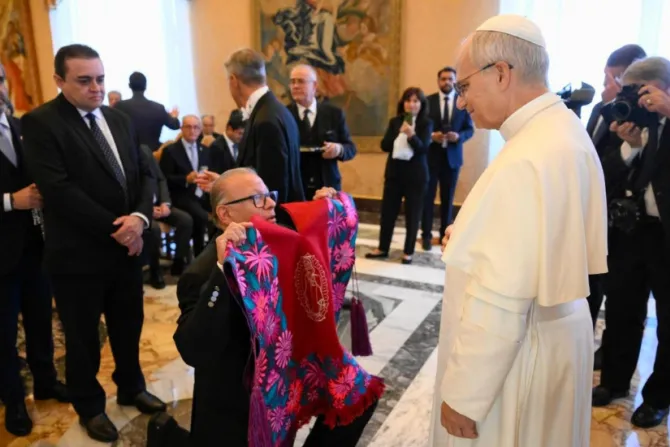 البابا لاوون الرابع عشر يلتقي ممثّلي «الكونفدراليّة الطبّية لأميركا اللاتينيّة والكاريبي» في الفاتيكان اليوم