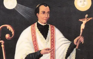 القدّيس جوزف فاز مصدر الصورة: Asela Dassanayake via wikimedia commons CC BY-SA 4.0