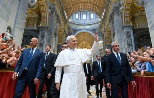 البابا لاوون الرابع عشر في مقابلة عامّة يوبيليّة احتضنتها بازيليك القدّيس بطرس-الفاتيكان يوم 14 يونيو/حزيران 2025 مصدر الصورة: فاتيكان ميديا