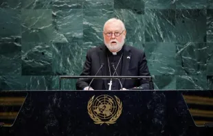 المطران بول ريتشارد غالاغر يلقي كلمته في الجمعيّة العامة للأمم المتّحدة مصدر الصورة: Cia Pak/UN