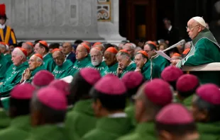 البابا فرنسيس يترأّس القدّاس الختاميّ لأعمال الدورة الثانية من الجمعيّة العامّة الـ16 لسينودس الأساقفة في الفاتيكان مصدر الصورة: فاتيكان ميديا