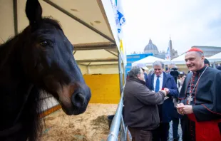تقليدٌ يُعبِّر عن نظرة كنسيّة ترى في العناية بالخليقة جزءًا من الإيمان مصدر الصورة: إي دبليو تي إن نيوز