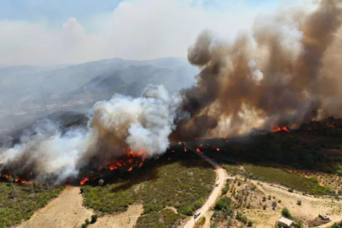 من حرائق ريف اللاذقية-سوريا