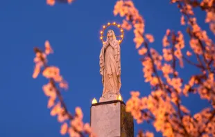 العذراء مريم سلطانة السماء والأرض مصدر الصورة: Thoom/Shutterstock