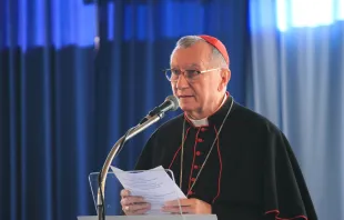 الكاردينال بييترو بارولين مصدر الصورة: Pasquale Senatore/Shutterstock