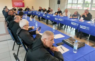 جانبٌ من دورة التنشئة التي نظّمتها الرهبانيّة المارونيّة المريميّة في جامعة سيّدة اللويزة-زوق مصبح، لبنان مصدر الصورة: الرهبانيّة المارونيّة المريميّة