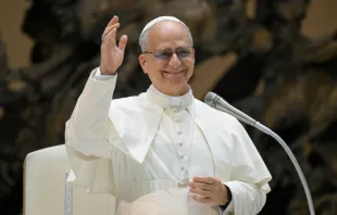 البابا لاوون الرابع عشر يلتقي العاملين في الفاتيكان في شهر مايو/أيّار 2025 مصدر الصورة: فاتيكان ميديا