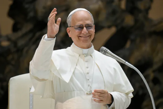 البابا لاوون الرابع عشر يلتقي العاملين في الفاتيكان في شهر مايو/أيّار 2025