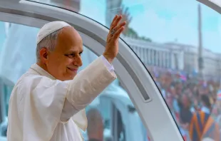 البابا لاوون الرابع عشر يحيّي المؤمنين المجتمعين صباح اليوم في ساحة القدّيس بطرس-الفاتيكان للمشاركة في المقابلة العامّة الأسبوعيّة مصدر الصورة: دانييل إيبانيز/آسي مينا