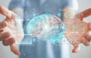 ضرورة حماية كرامة الإنسان في مجالات العالم الرقميّ مصدر الصورة: sdecoret/Shutterstock