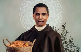 القدّيس مارتينوس دي بورس مصدر الصورة: remy lekoun/Pinterest