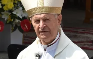 الكاردينال جوزيف تومكو Cardinal Jozef Tomko in 2018 at a shrine on Mount Zvir, above the village of Litmanová, Slovakia./Sirocan 69 via Wikimedia CC BY-SA 4.0/CNA
