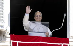 البابا لاوون الرابع عشر يتلو صلاة التبشير الملائكيّ مع المؤمنين المحتشدين في ساحة القدّيس بطرس الفاتيكانيّة مصدر الصورة: فاتيكان ميديا