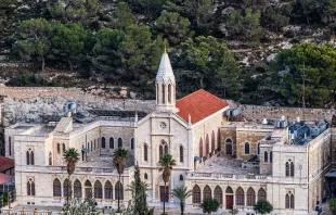 دير الجنّة المقفلة في قرية أرطاس-الأراضي المقدّسة Provided by: Leonid Radashkovsky/Shutterstock