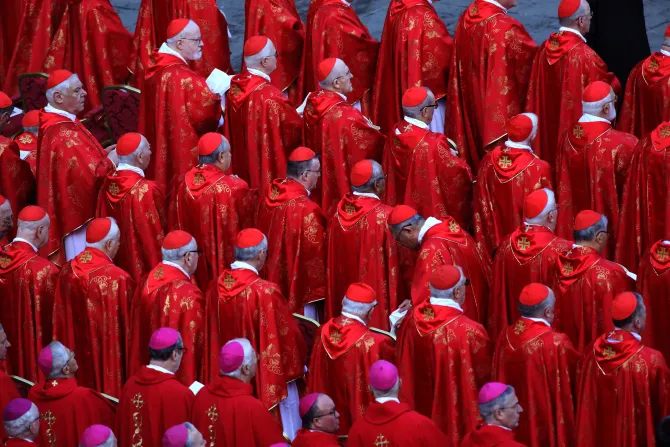 كرادلة وأساقفة يشاركون في جنازة البابا بنديكتوس السادس عشر في 5 يناير/كانون الثاني 2023 بساحة القديس بطرس-الفاتيكان