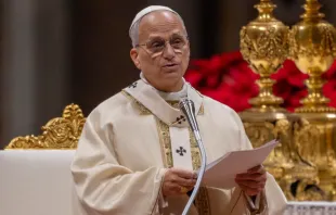 البابا لاوون الرابع عشر يترأّس قدّاس ختام يوبيل الرجاء في الفاتيكان اليوم مصدر الصورة: دانييل إيبانيز/آسي مينا