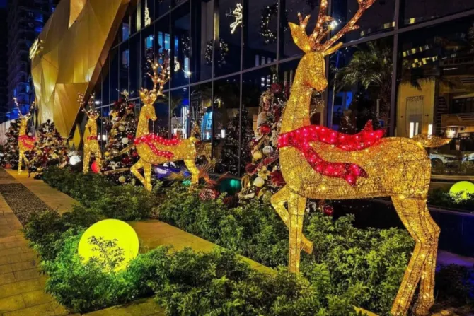 زينة الميلاد في بعض مناطق بغداد