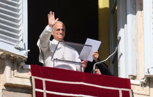 البابا لاوون الرابع عشر يتلو صلاة التبشير الملائكيّ مع المؤمنين في ساحة القدّيس بطرس الفاتيكانيّة مصدر الصورة: فاتيكان ميديا