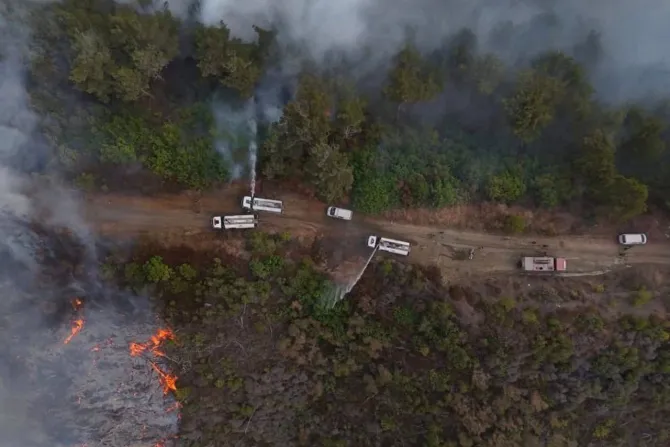 من حرائق ريف اللاذقية-سوريا