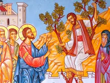 يسوع يدعو زكّا العشّار