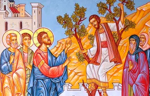 يسوع يدعو زكّا العشّار مصدر الصورة: peterdwaslo/Pinterest