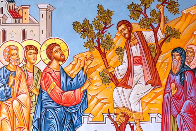 يسوع يدعو زكّا العشّار