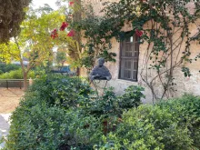 القديس شارل دي فوكو يزرع السلام في الناصرة